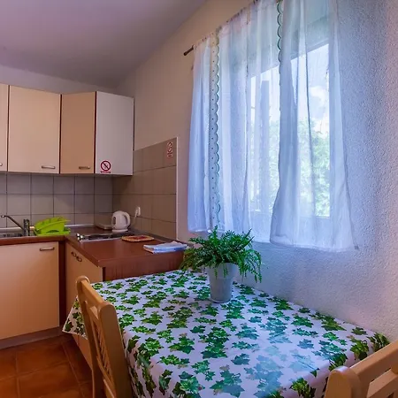 Dandic Apartmán Orlec