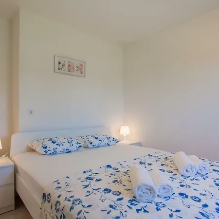 Apartament Dandic *